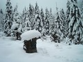 WinterTime