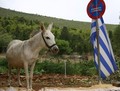 Tilosban